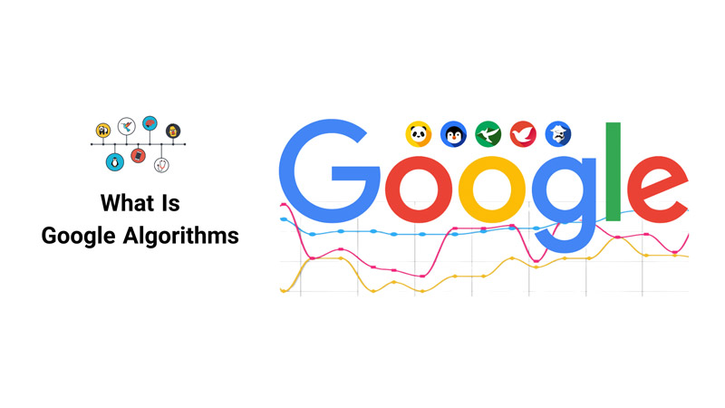 مهمترین الگوریتم های گوگل در سال 2024 الگوریتم های گوگل چیست؟