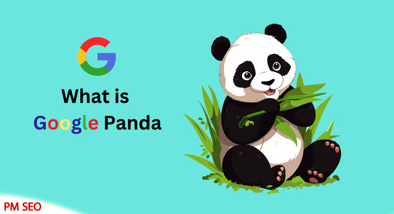 مهمترین الگوریتم های گوگل در سال 2024 الگوریتم گوگل پاندا چیست